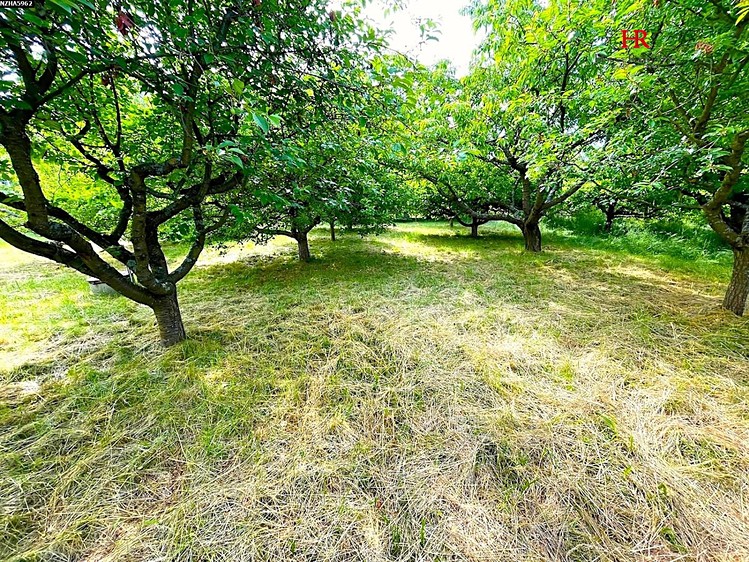 Ділянка на продаж, 620 м² (4 з 12)
