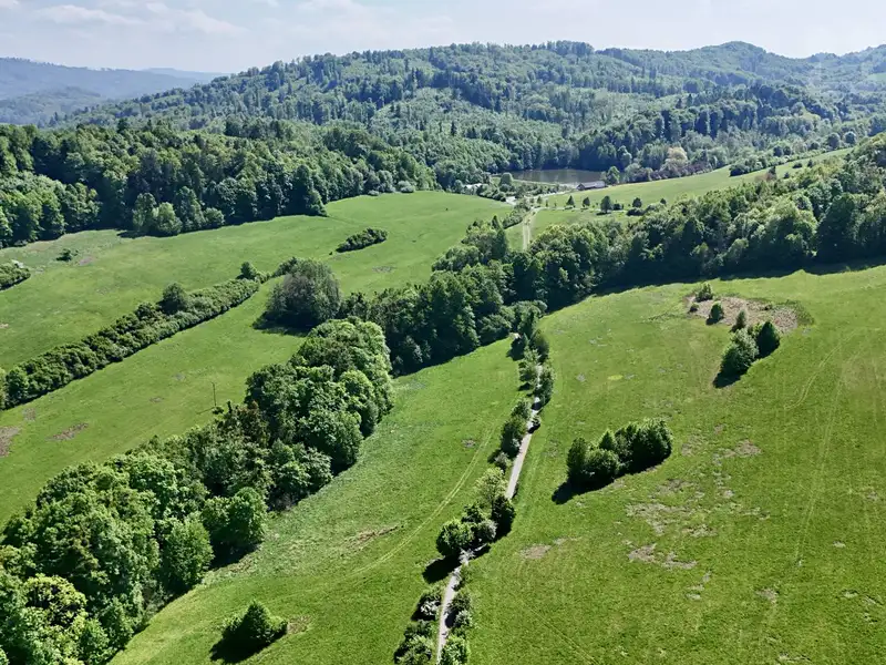 Prodej louky 7411 m², Nový Jičín – náhled fotky 1