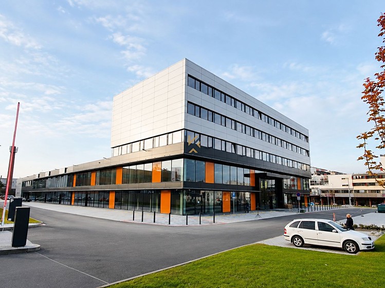 Gewerbefläche zur Miete, 216 m² (2 von 13)