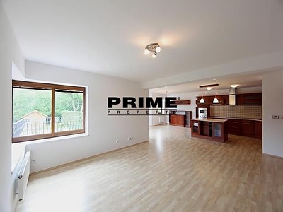 Pronájem  rodinného domu 410 m², pozemek 1 036 m² — photo 2