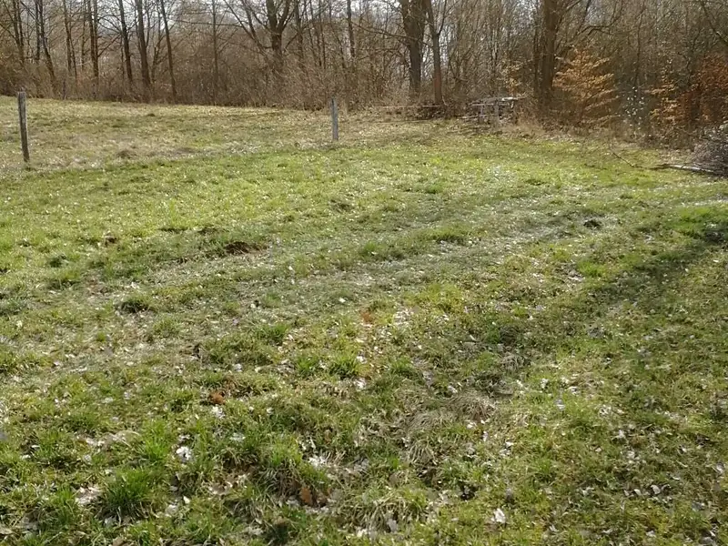 Prodej stavebního pozemku 1652 m², Horní Slavkov – náhled fotky 3