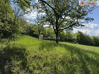 Prodej  louky 5 056 m²