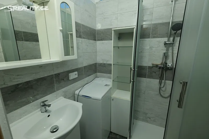 Pronájem bytu 2+1 56 m² – pohled 5
