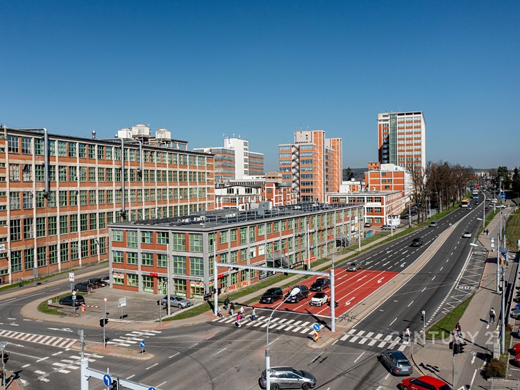 Pronájem komerčního prostoru, 162 m² (5 z 8)