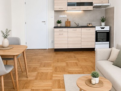 Pronájem bytu 1+kk 31 m²