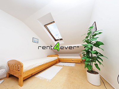 Pronájem bytu 2+1 45 m² — photo 4