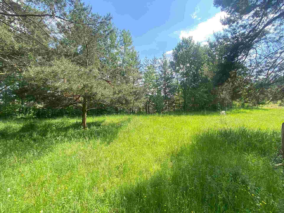 Prodej pozemku 2300 m² – fotografie 2