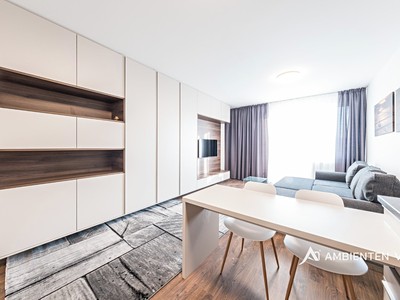 Pronájem bytu 1+kk 36 m²