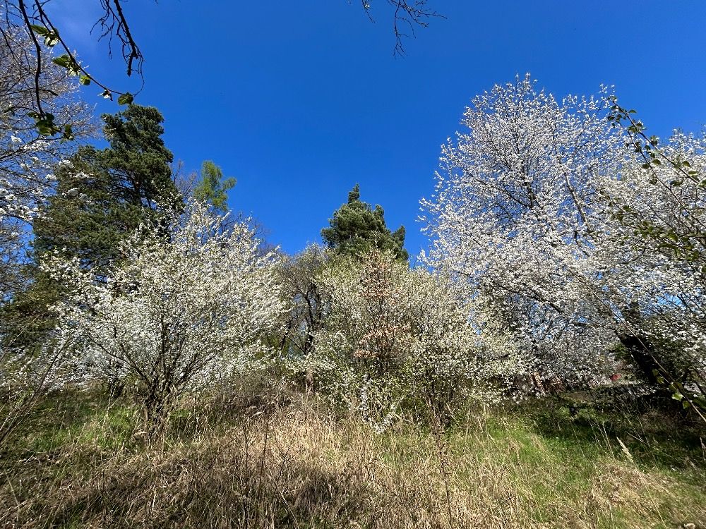 Prodej chaty 47 m², pozemek 1290 m² – fotografie 5