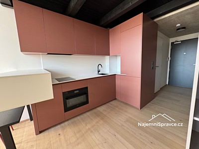 Pronájem bytu 2+kk 59 m² (Loft) — photo 4