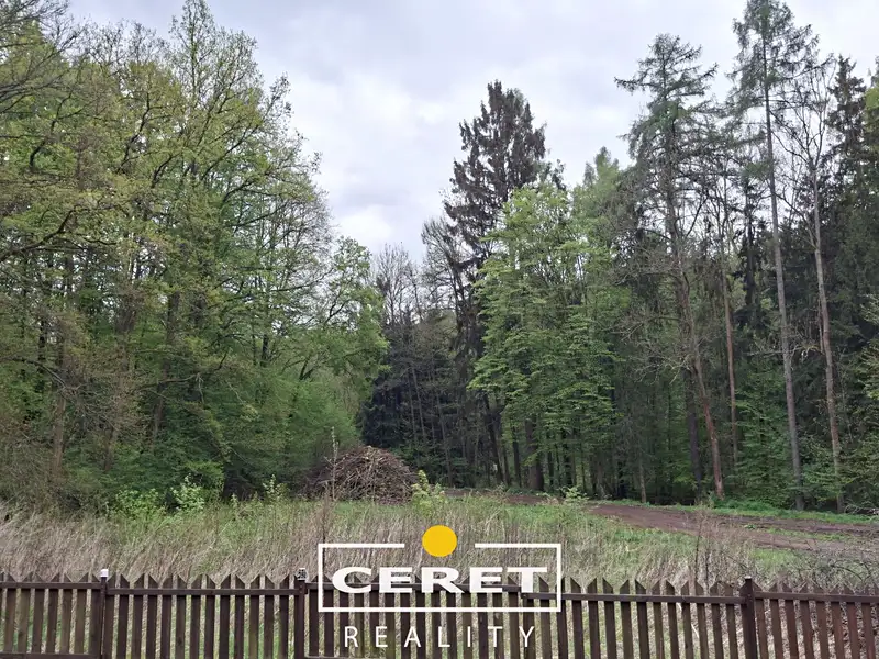 Prodej chalupy 180 m², pozemek 1503 m², Liběšice – náhled fotky 3