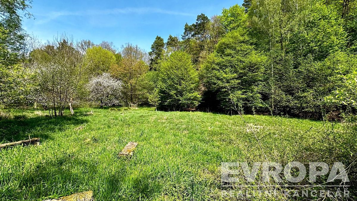 Prodej rodinného domu 350 m², pozemek 5913 m² – fotografie 5