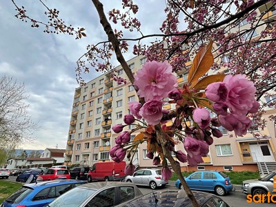 Pronájem bytu 1+1 33 m²