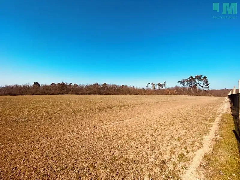 Prodej zahrady 7000 m², Dobšice – náhled fotky 1