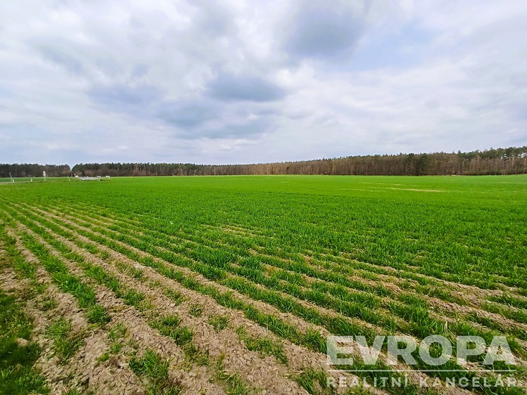 Ділянка на продаж, 27 281 м² (5 з 10)