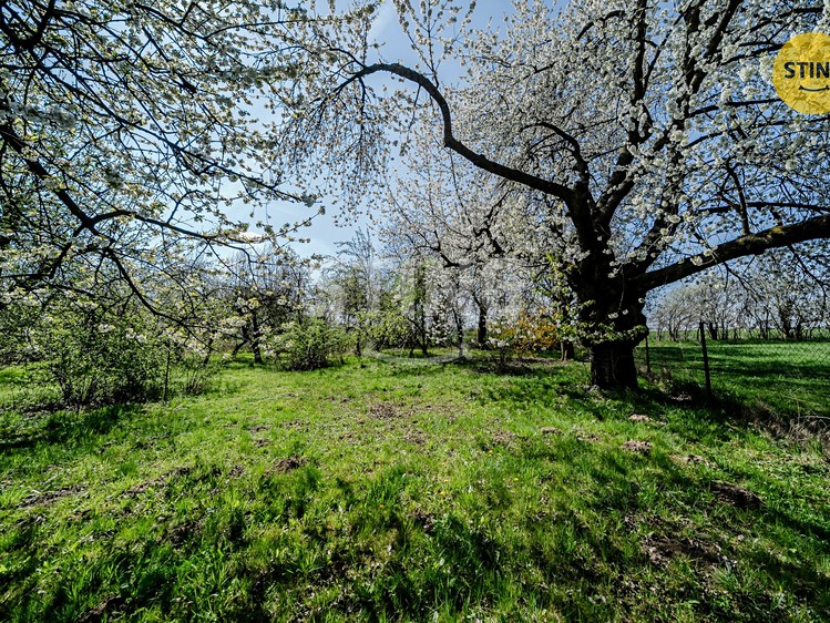 Prodej pozemku, 2 165 m² (6 z 20)