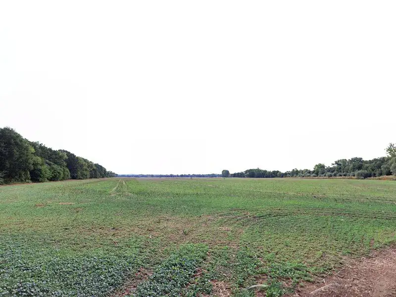 Prodej pole 6385 m², Čejetice – náhled fotky 2