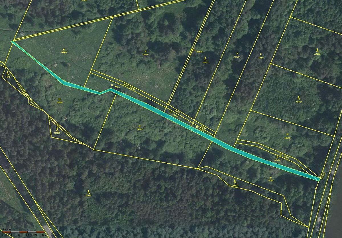 Prodej louky 1557 m², Petříkov – fotka 1 z 3