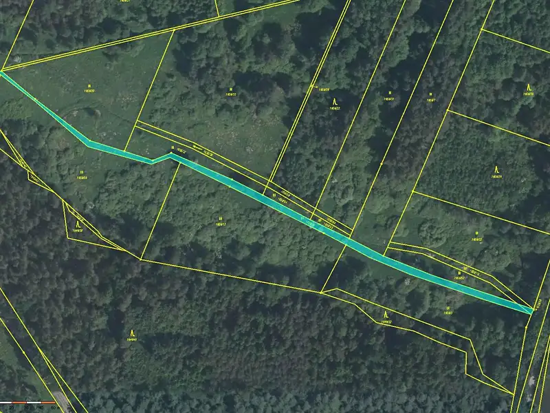 Prodej louky 1557 m², Petříkov – náhled fotky 1