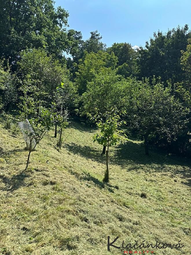 Prodej stavebního pozemku 893 m² – fotografie 3