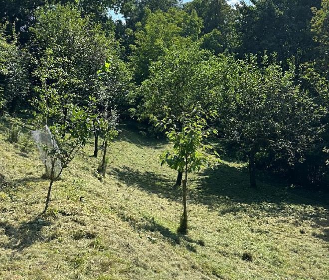 Grundstück zum Kauf, 893 m² (3 von 11)