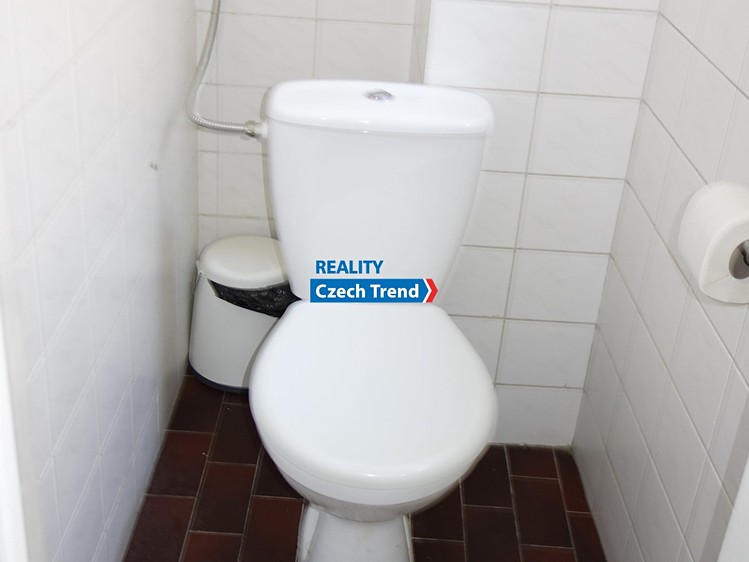 Pronájem bytu 4+1, 137 m² (8 z 8)