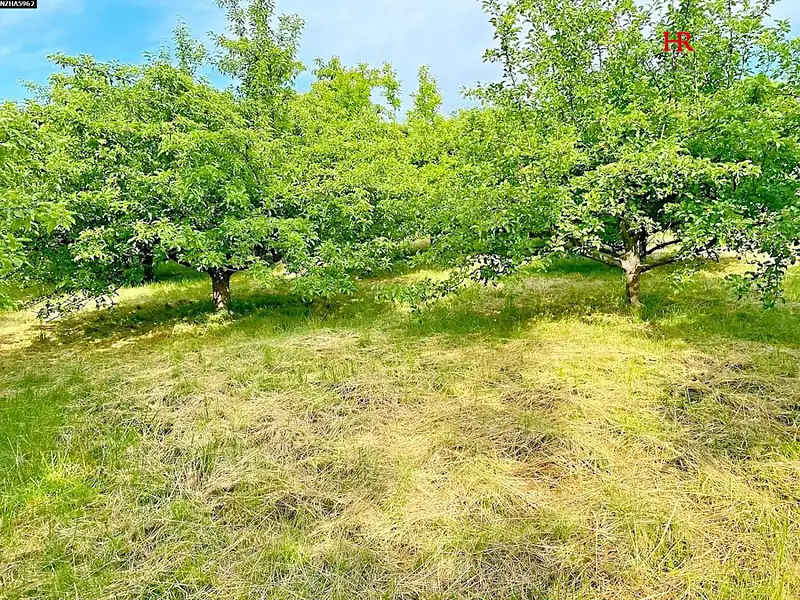 Prodej stavebního pozemku 620 m², Načeradec – náhled fotky 2