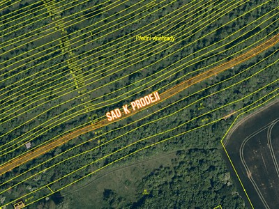 Prodej  sadu, vinice 1 696 m²