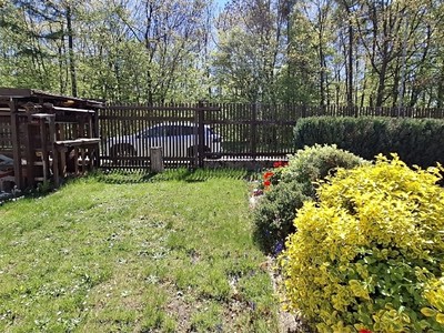 Prodej  zahrady 284 m² — photo 2