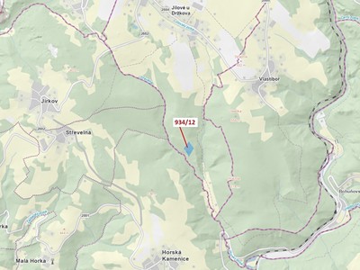 Dražba  lesa 10 166 m²