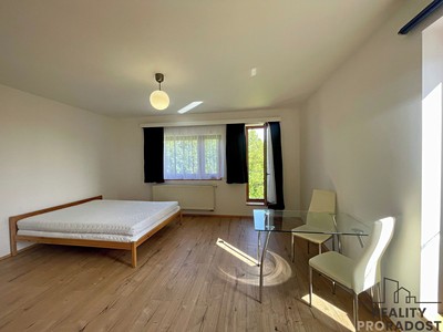 Pronájem bytu 1+kk 33 m²