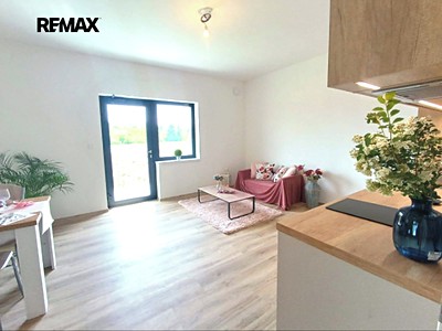 Pronájem bytu 1+kk 30 m² (Jednopodlažní)