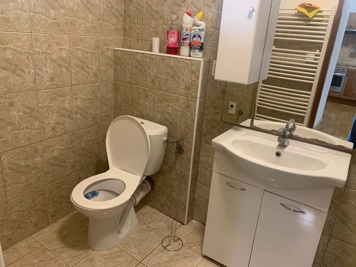 Pronájem bytu 1+1 45 m² – fotografie 3