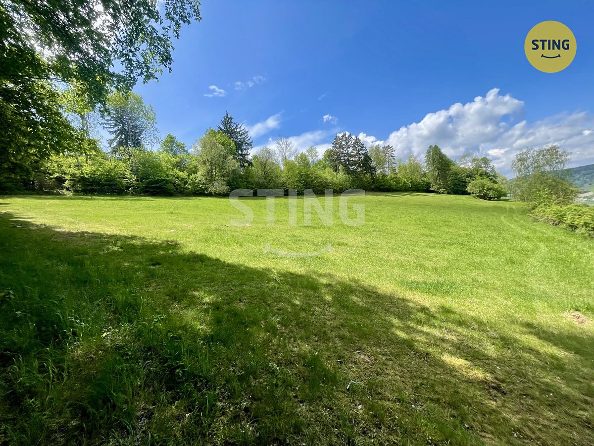 Prodej lesa 16440 m² – fotografie 3
