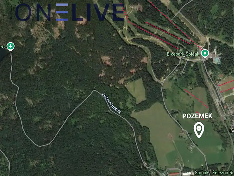 Prodej louky 2832 m², Železná Ruda – náhled fotky 3