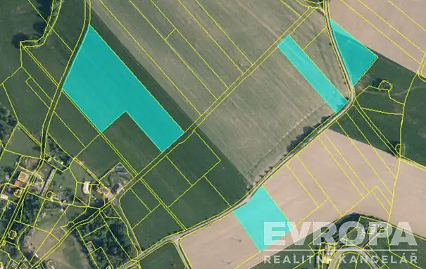 Prodej pole 43076 m², Radčice – náhled fotky 3