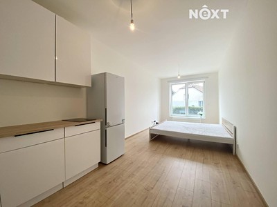 Pronájem bytu 1+kk 38 m²