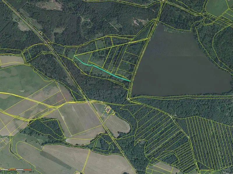 Prodej louky 1557 m², Petříkov – náhled fotky 3