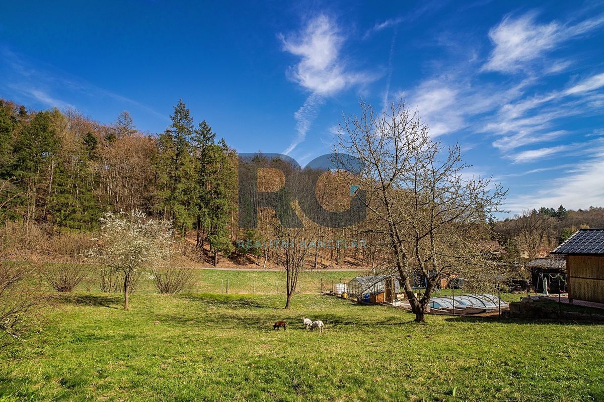 Prodej stavebního pozemku 2000 m² – fotografie 2