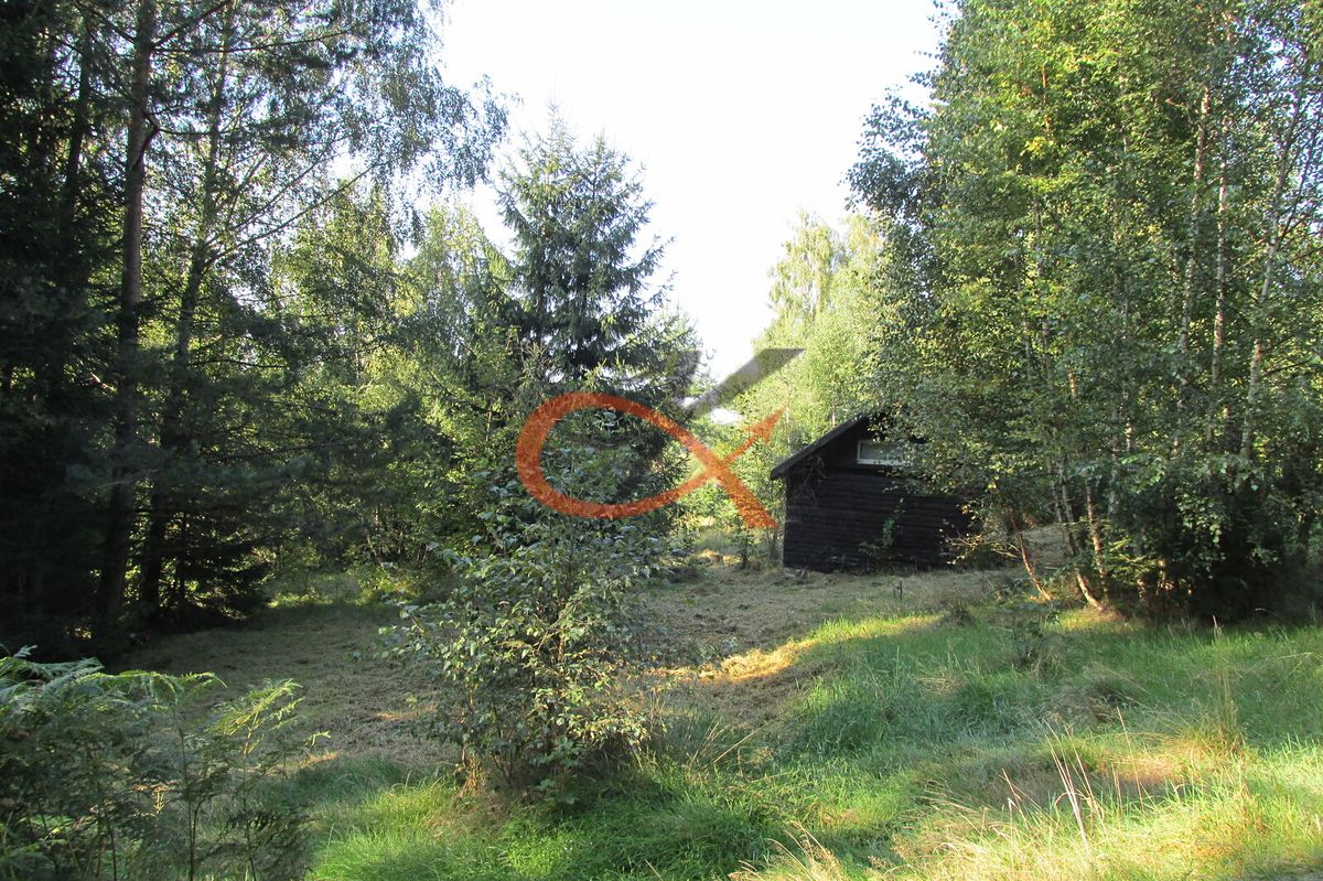Prodej pozemku 4310 m² – fotografie 3
