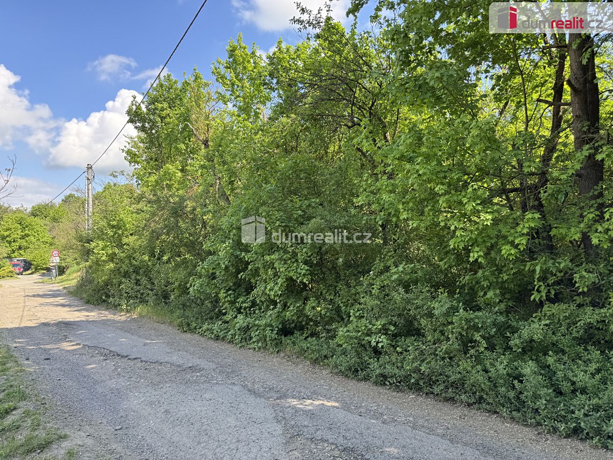 Prodej louky 5056 m² – fotografie 2