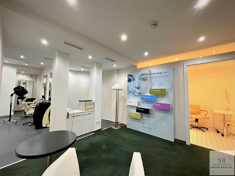 Pronájem komerčního prostoru, 131 m² (4 z 14)
