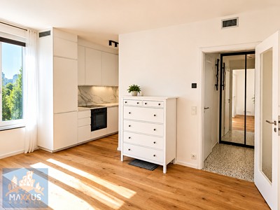 Pronájem bytu 1+kk 29 m²