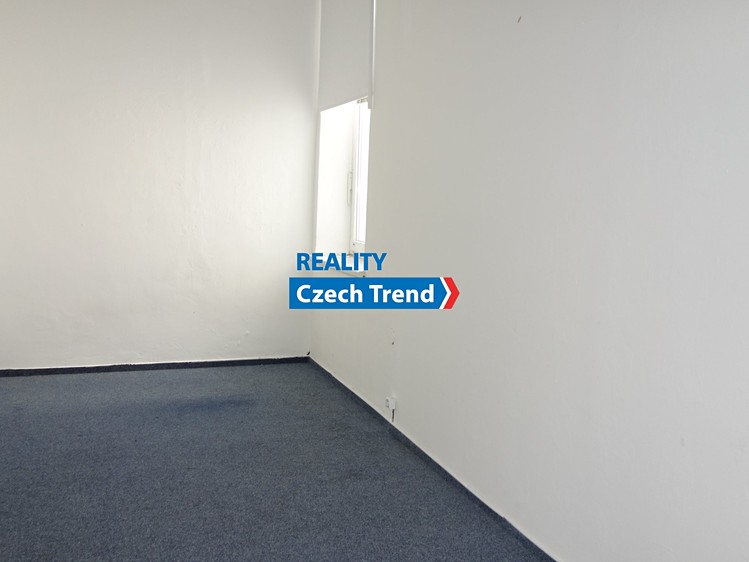 Pronájem bytu 4+1, 137 m² (6 z 8)