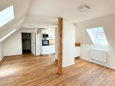 Pronájem bytu 1+kk 43 m²