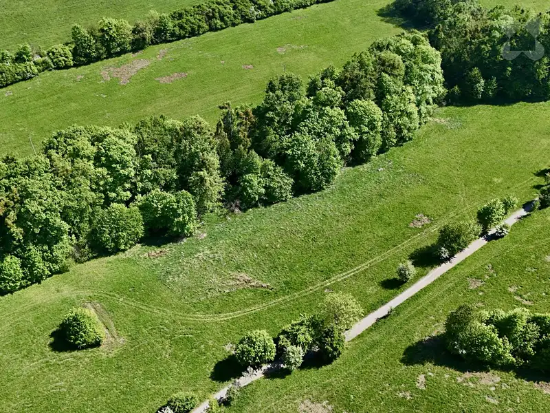 Prodej louky 7411 m², Nový Jičín – náhled fotky 3