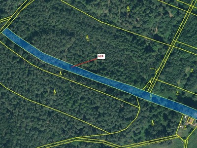 Dražba  lesa 2 895 m² — photo 2