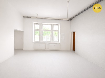 Pronájem kanceláře 41 m² — photo 3