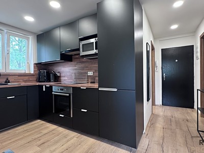 Pronájem bytu 3+1 66 m²