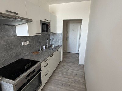 Pronájem bytu 1+kk 28 m²